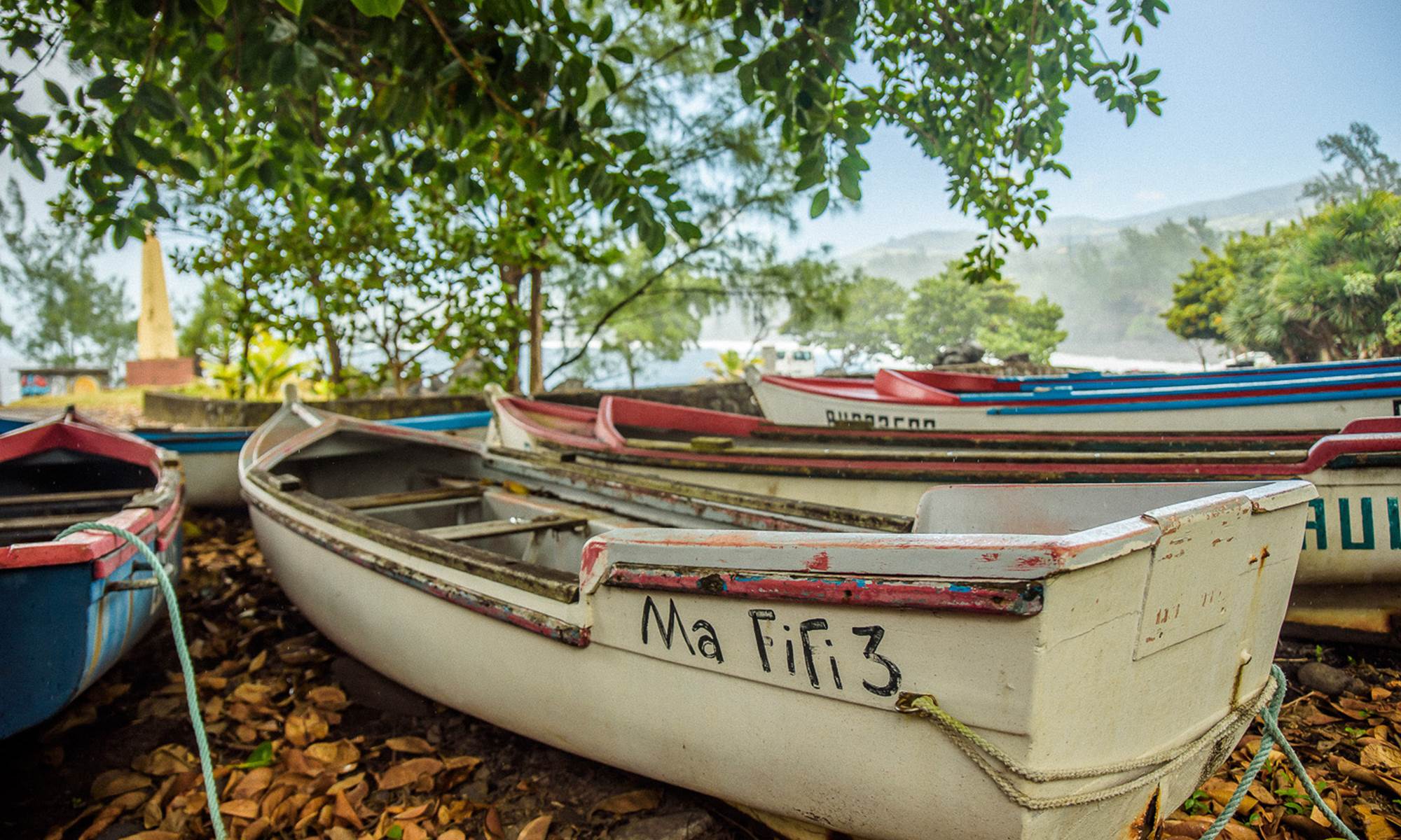 Marine de Langevin barques de pêche artisanale-page
